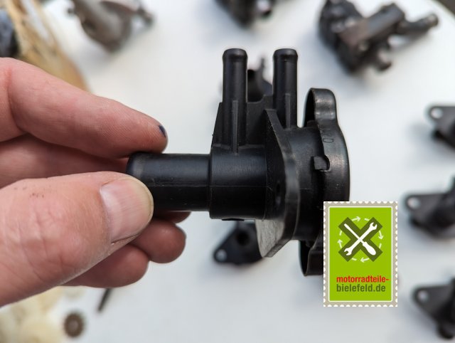 PXL_20240528_140254431